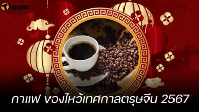 กาแฟ ของไหว้เทศกาลตรุษจีน 2567