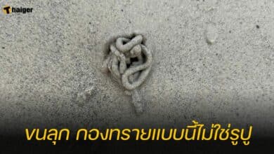 ขนลุก กองทรายแบบนี้ไม่ใช่รูปู