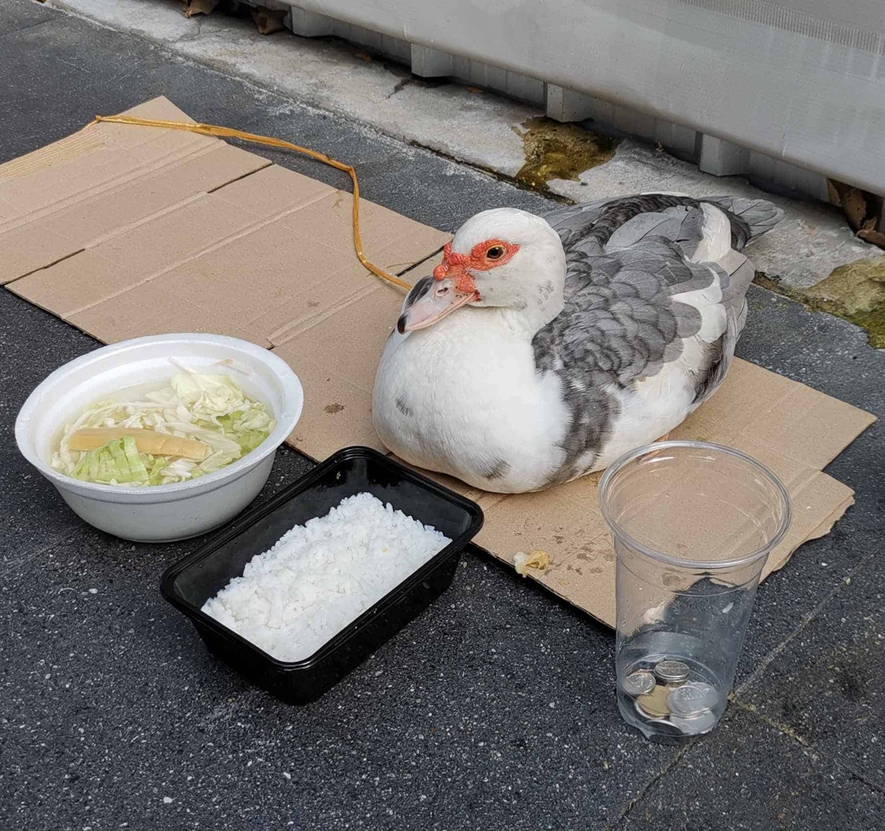 เป็นนั่งขอทาน