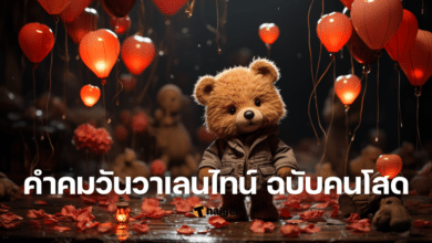 คำคมวันวาเลนไทน์ ฉบับคนโสด