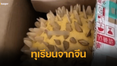 จีนหัวหมอ สาวสั่งทุเรียนออนไลน์ เปิดกล่อง ได้ส้มโอปักเมล็ดทานตะวัน