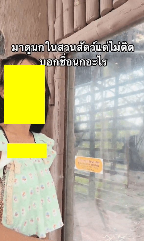 ดราม่านุ้งตี้ แหกกฎ เคาะกระจกกรงนก ทวิตเตอร์ เบลอ