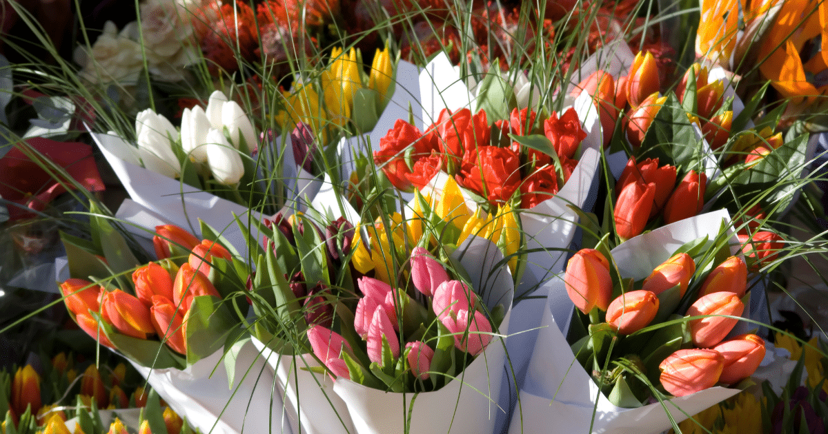 15 ดอกไม้ บอกความในใจในวันวาเลนไทน์ ความหมายลึกซึ้ง พิชิตใจคนที่หมายปอง