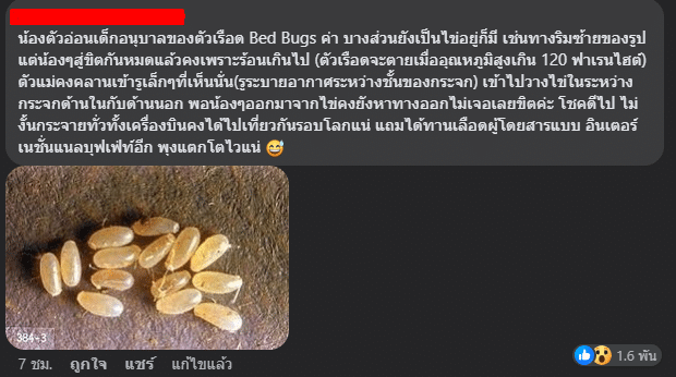 ตัวเลือด บนเครื่องบิน