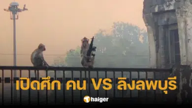 ตำนานบทใหม่ 'ลิงลพบุรี' นั่งถือปืน เตรียมสู้กลับเด็กหญิงถือปืนในไวรัลดัง