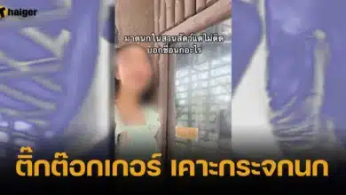 ติ๊กต๊อกเกอร์ เคาะกระจกนก