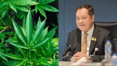 กัญชากฎหมายล่าสุด