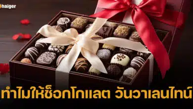 ปกช็อกโกแลต