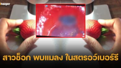 ปกรูปภาพนี่ตัวอะไร