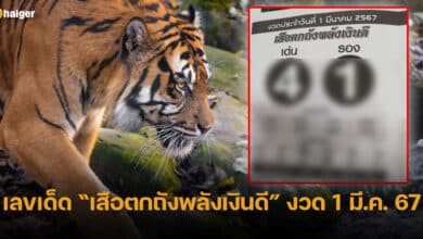 ปกเสือตกถัง