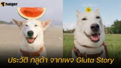 ประวัติ กลูต้า จากเพจ Gluta Story