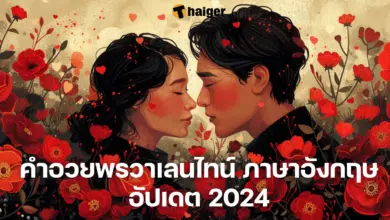 คำอวยพร วันวาเลนไทน์ 2024 คำแปล ภาษาอังกฤษ
