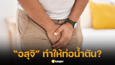 มหาวิทยาลัยญี่ปุ่น สั่งห้ามช่วยตัวเองในห้องน้ำมหาวิทยาลัย