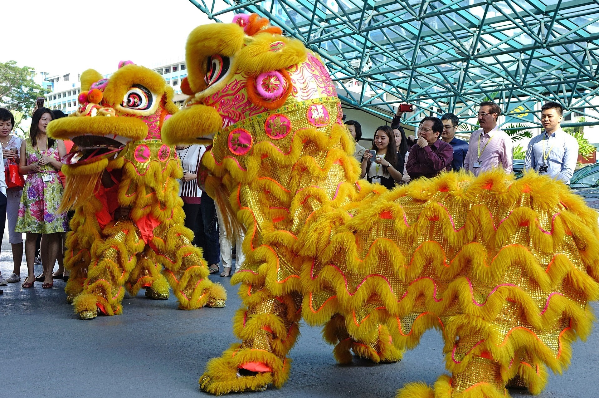 รูปเชิดสิงโต 2567