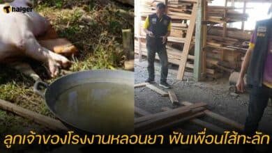 ลูกเจ้าของโรงงานหลอนยา ฟันเพื่อนไส้ทะลักดับ
