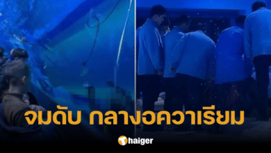 สลด นักประดาน้ำ จมดับ คาตู้อควาเรียม คนเห็นไม่ช่วย คิดว่าเป็นหุ่น