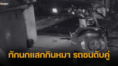 หนุ่มสาว ขับมอไซค์ ทักนกแสกกินหมา พูดเรื่องตาย สุดท้ายชนท้ายรถขยะ ดับคู่