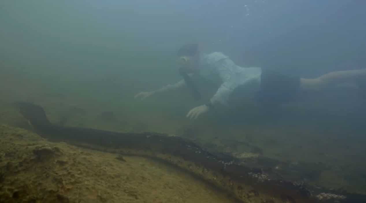 อนาคอนด้า สายพันธุ์ใหม่ แอมะซอน