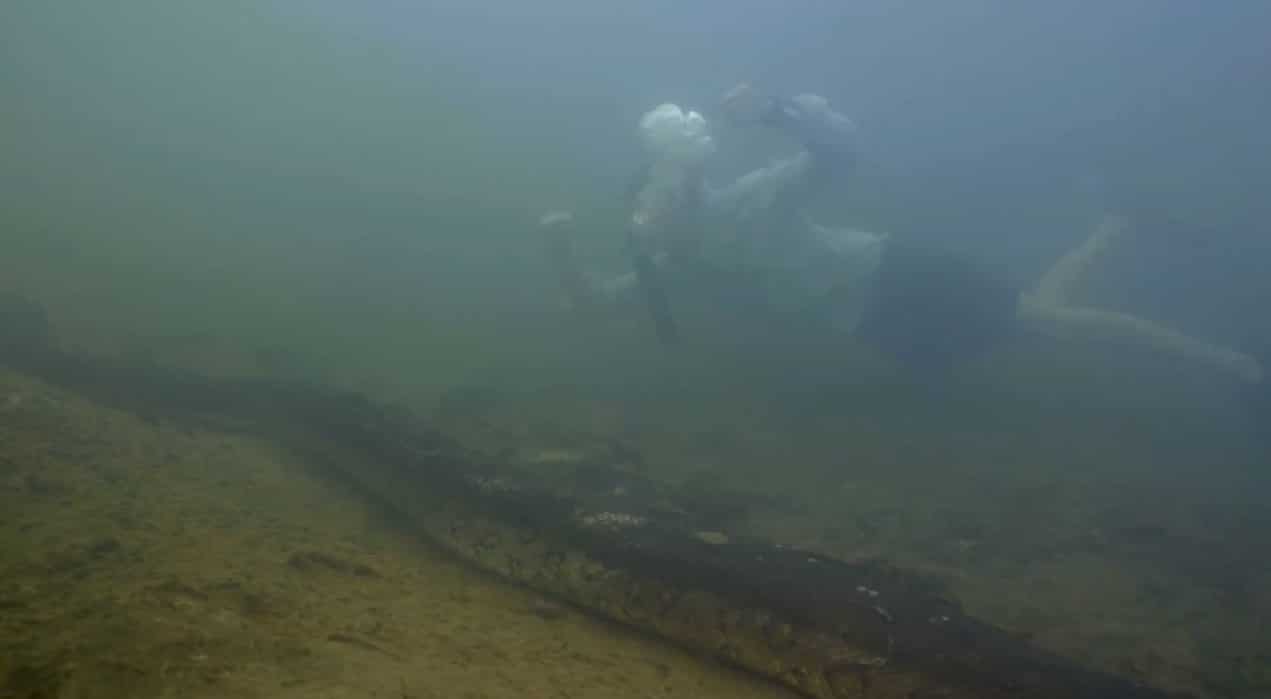 นักวิทย์เจอ อนาคอนด้า สายพันธุ์ใหม่