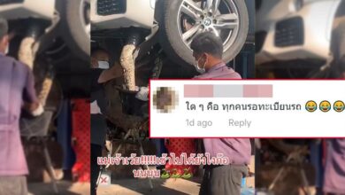 เลขทะเบียนรถ งูเหลือมยักษ์