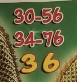 เลขเด็ด ปฏิทินคำชะโนด 3 1 67 2