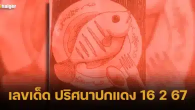 เลขเด็ด ปริศนาปกแดง 16 2 67