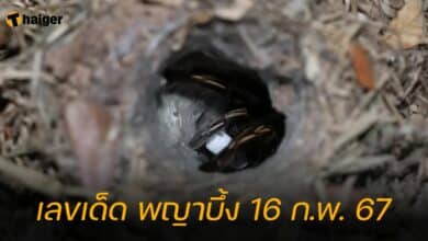 เลขเด็ด พญาบึ้ง 16 ก.พ. 67