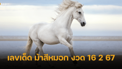 เลขเด็ด ม้าสีหมอก ควบอาชา หารางวัลใหญ่ งวด 16 2 67
