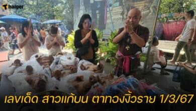 เลขเด็ด สาวแก้บน ตาทองงิ้วราย 1/3/67