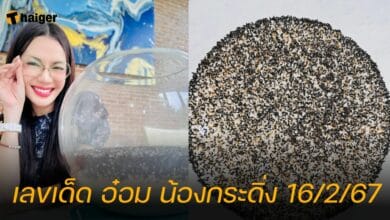 เลขเด็ด อ๋อม น้องกระดิ่ง 16/2/67