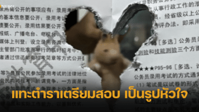 แฮมสเตอร์สุดแสบ! แทะตำราเตรียมสอบราชการ เป็นรูปหัวใจ เจ้าของโกรธจนขำ