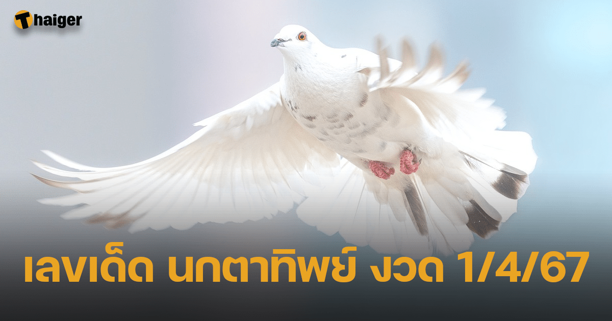 เลขเด็ด นกตาทิพย์ บินมาแจกแนวทางถึงที่ ลุ้นโชคหวยต้นเดือน 1 เม.ย. 67 | Thaiger ข่าวไทย