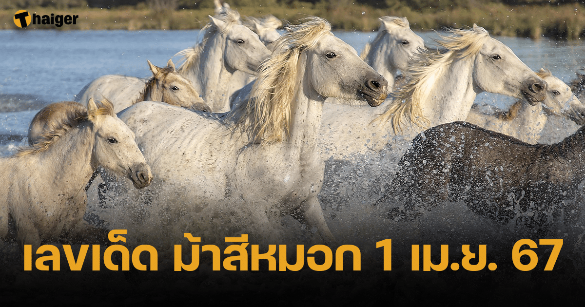 เปิดแนวทาง เลขเด็ด ม้าสีหมอก 1/4/67 อาชานำพาโชค ควบหมดเลขวิ่งทั้งบน-ล่าง | Thaiger ข่าวไทย