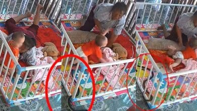 งูเลื้อยเข้าที่อนเด็ก