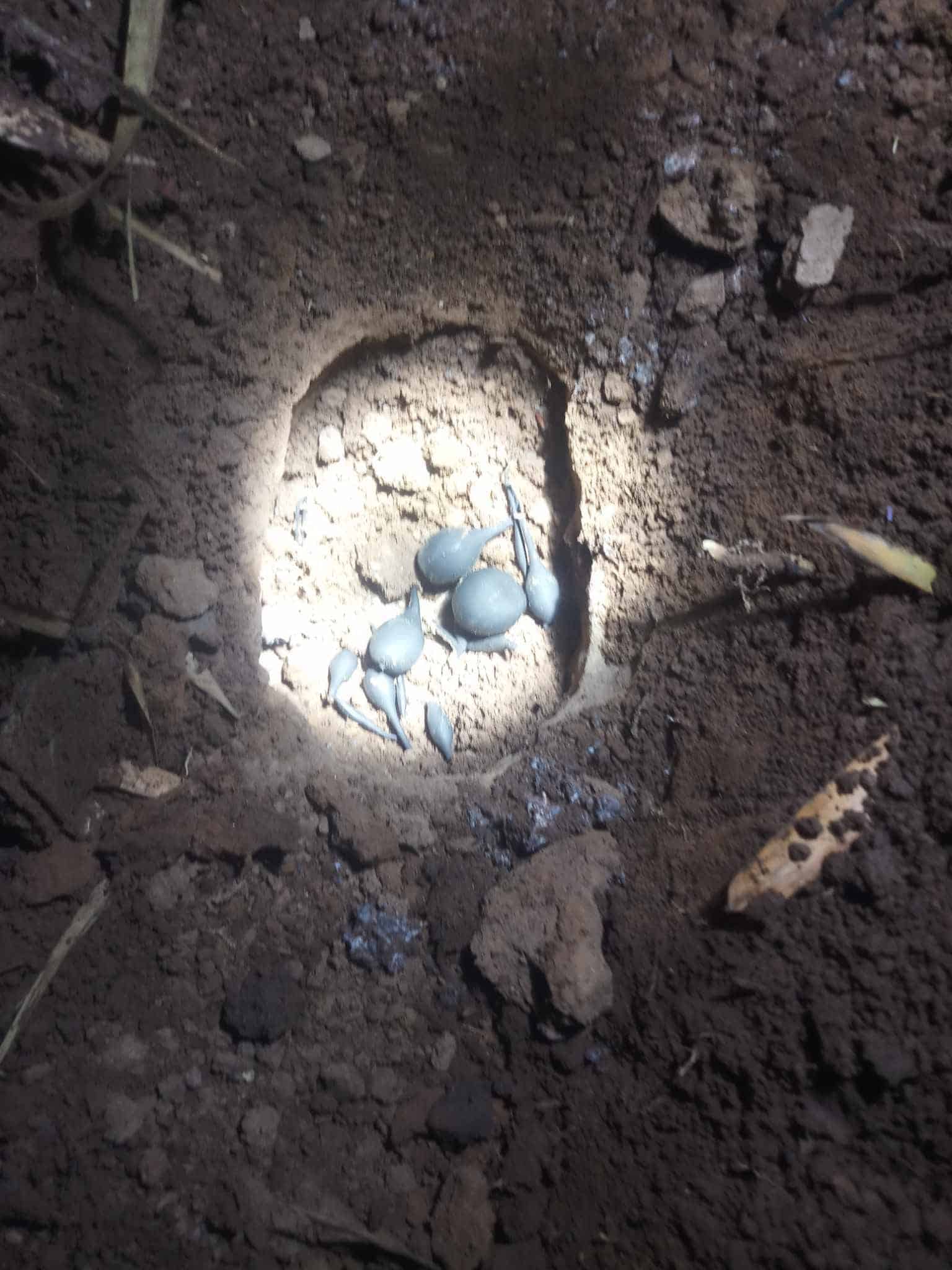 กลุ่มเฟซบุ๊ก นี่คือตัวะไร