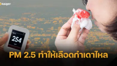 คณะแพทย์ฯ มช. เผยผลวิจัย ฝุ่น PM 2.5 สาเหตุเลือดกำเดาไหล