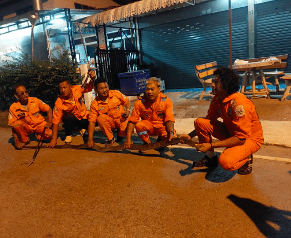 งูจงอางยักษ์ บุกบ้านใกล้วันหวยออก