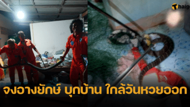 งูจงอางยักษ์ ยาว 3.5 เมตร บุกบ้านคน ใกล้วันหวยออก บ้านเลขที่คล้ายกันมาก