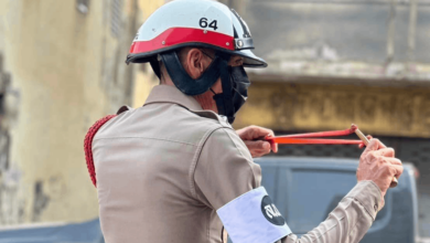 ลิงลพบุรี ตำรวจ