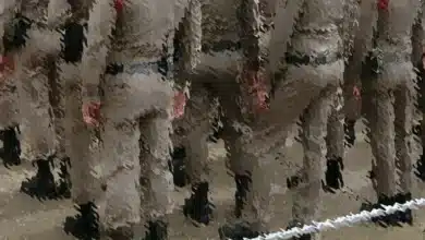 ตำรวจไซเบอร์ เว็บพนัน