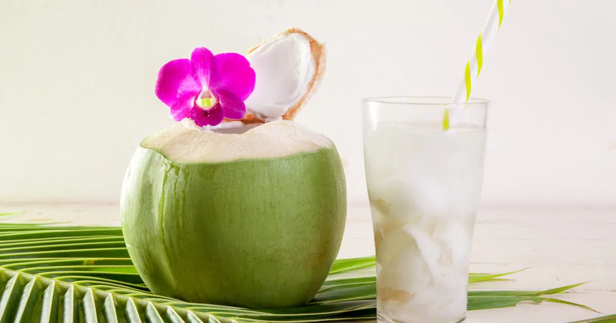 ดื่มน้ำมะพร้าว ตอนตั้งครรภ์