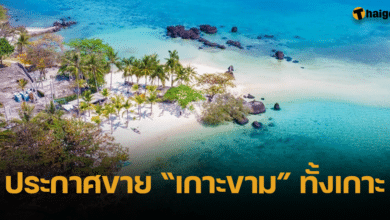 ประกาศขาย เกาะขาม ทั้งเกาะ 1500 ล้าน
