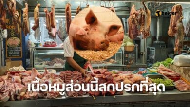 ปอดหมู ไม่ควรกิน สกปรก