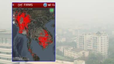 ปัญหาการเผาป่า