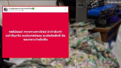 ผงปรุงรสปลอม