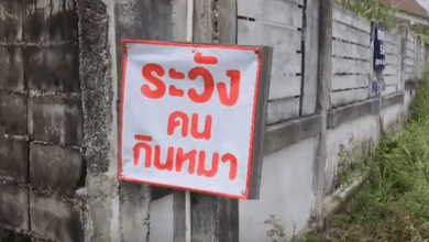 คนกินหมา