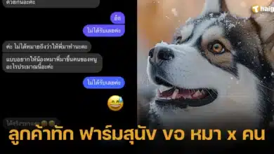 ลูกค้าทัก ฟาร์มสุนัข ขอ หมา x คน