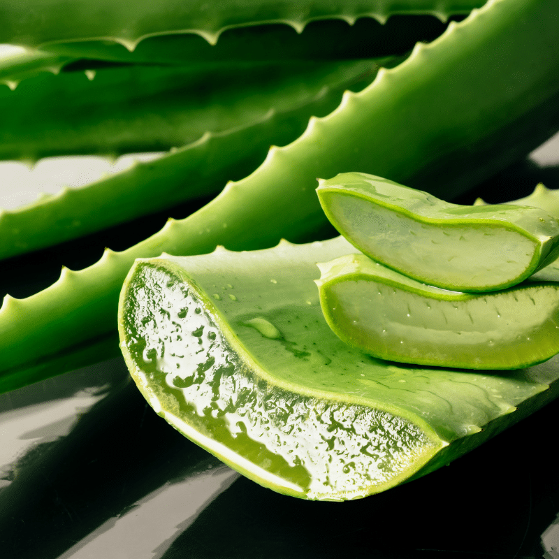 ว่านหางจระเข้