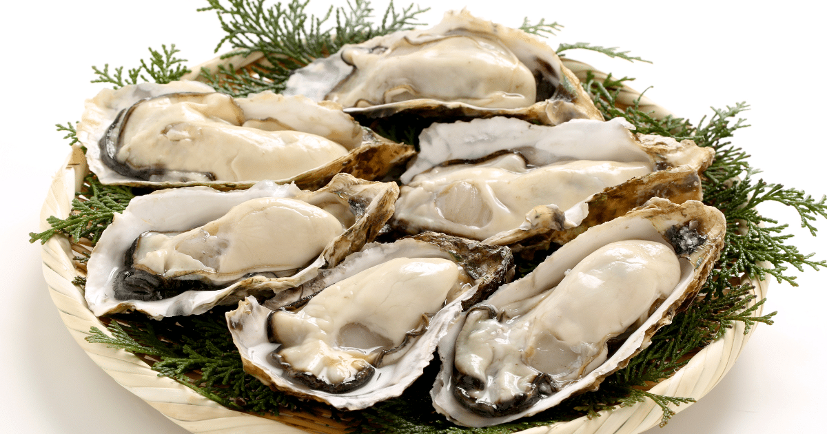 สั่งหอย 48 ตัว ไม่จ่ายค่าอาหาร เพราะแพงไปมาก