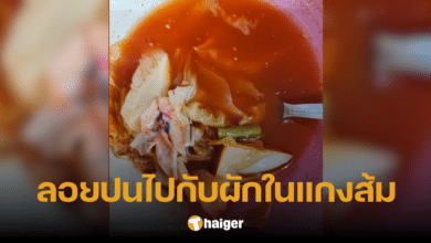 สาวโอย กิน 'แกงส้ม' ไปครึ่งชาม เจอกระดาษพิมพ์ลาย ลอยเจิ่งรวมกับผัก ลั่น รับไม่ได้